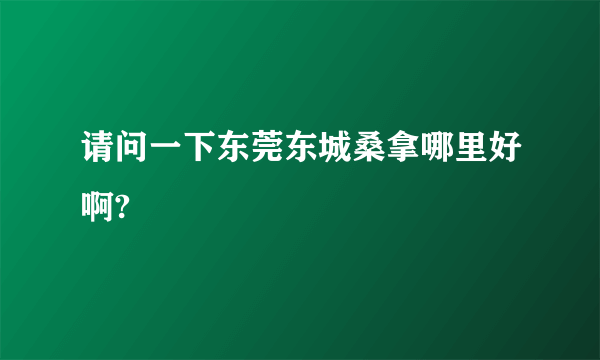 请问一下东莞东城桑拿哪里好啊?