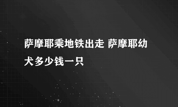 萨摩耶乘地铁出走 萨摩耶幼犬多少钱一只