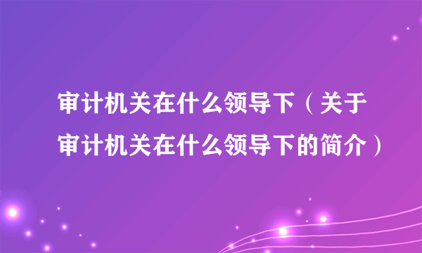 审计机关在什么领导下（关于审计机关在什么领导下的简介）