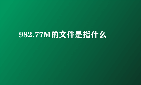 982.77M的文件是指什么