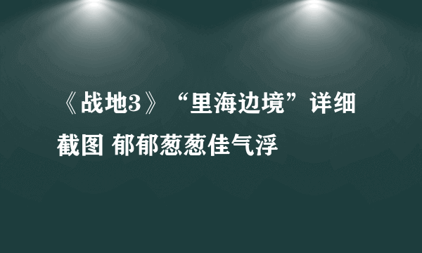 《战地3》“里海边境”详细截图 郁郁葱葱佳气浮